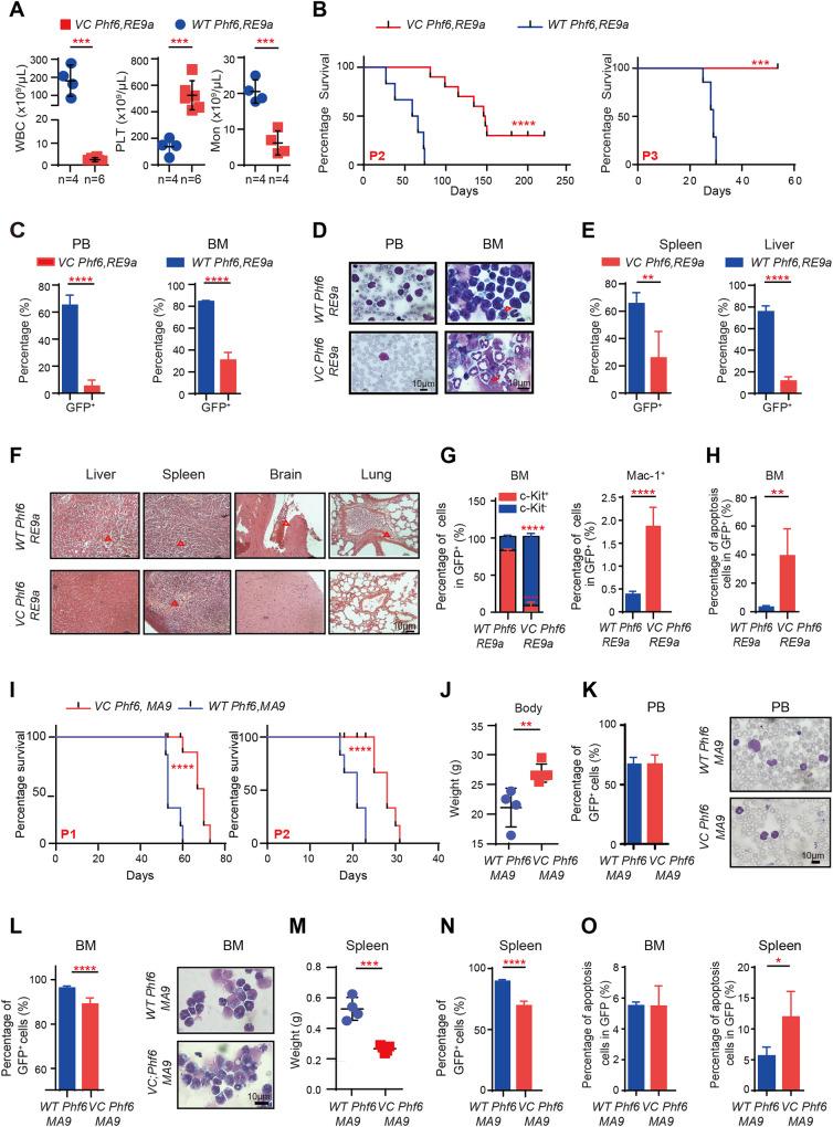 https://cdn.ncbi.nlm.nih.gov/pmc/blobs/4b65/10400421/7f7e1bdfb9cf/41375_2023_1953_Fig2_HTML.jpg