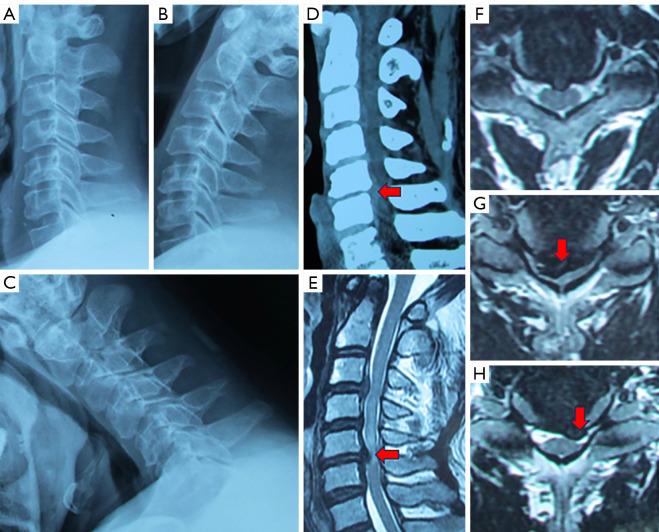 https://cdn.ncbi.nlm.nih.gov/pmc/blobs/4b65/11151240/801d1ef493d4/qims-14-06-3923-f1.jpg
