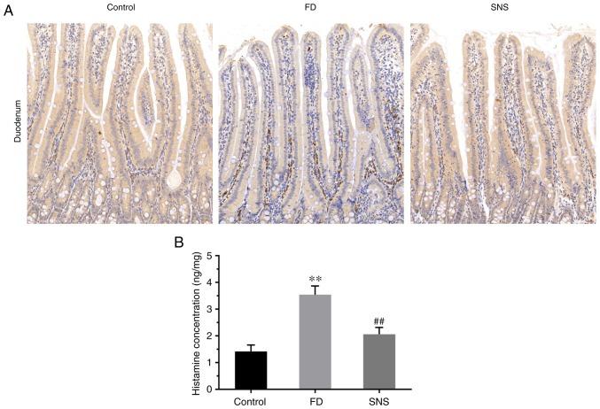 https://cdn.ncbi.nlm.nih.gov/pmc/blobs/4b65/6889936/448e30275c28/IJMM-45-01-0053-g03.jpg