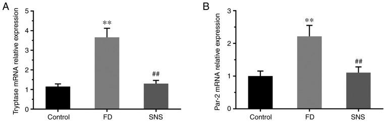 https://cdn.ncbi.nlm.nih.gov/pmc/blobs/4b65/6889936/4d0e0f554e06/IJMM-45-01-0053-g04.jpg