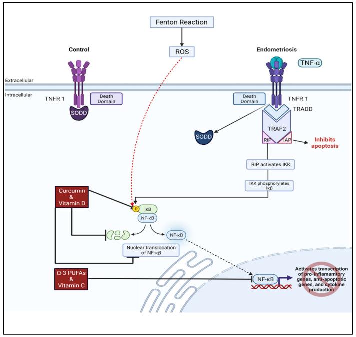 https://cdn.ncbi.nlm.nih.gov/pmc/blobs/4b65/9405905/47b40a30adba/biomolecules-12-01055-g004.jpg