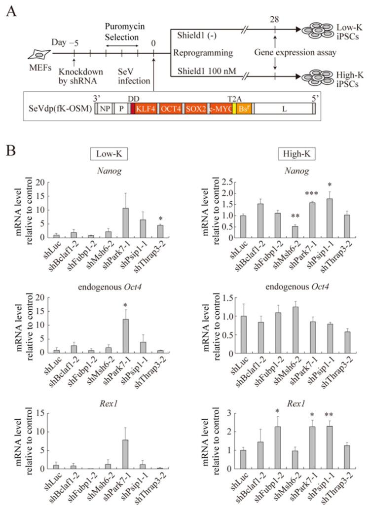 https://cdn.ncbi.nlm.nih.gov/pmc/blobs/4b65/9740452/a22d209d7078/ijms-23-15242-g006.jpg