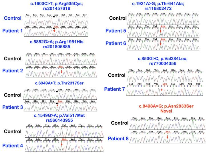 https://cdn.ncbi.nlm.nih.gov/pmc/blobs/4b67/10093539/076bc3a78d67/diagnostics-13-01214-g001.jpg