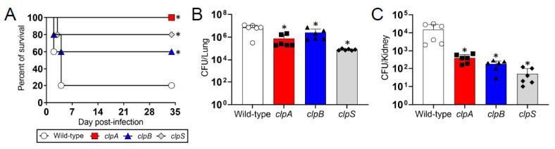 https://cdn.ncbi.nlm.nih.gov/pmc/blobs/4b69/7917692/2f41fdc958a8/pathogens-10-00204-g005.jpg