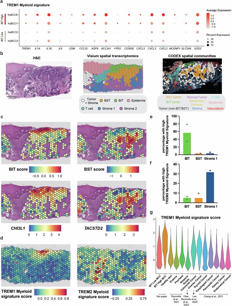 https://cdn.ncbi.nlm.nih.gov/pmc/blobs/4b6a/11408617/0659a20f73cd/41467_2024_52394_Fig5_HTML.jpg