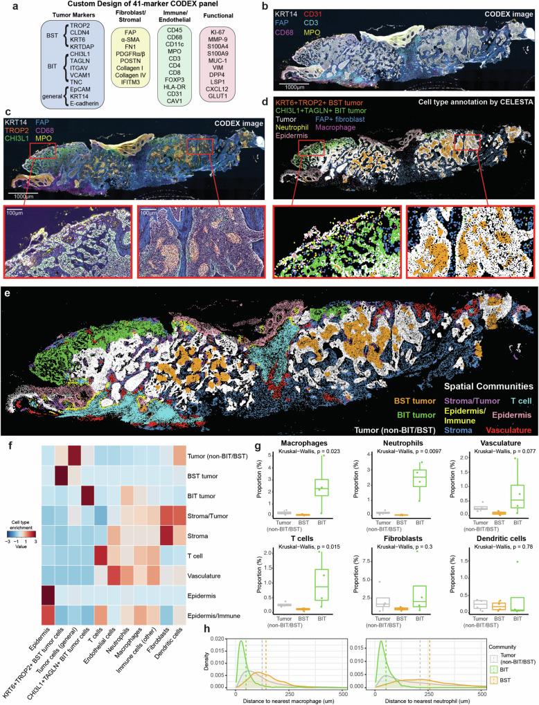 https://cdn.ncbi.nlm.nih.gov/pmc/blobs/4b6a/11408617/1125089221da/41467_2024_52394_Fig3_HTML.jpg