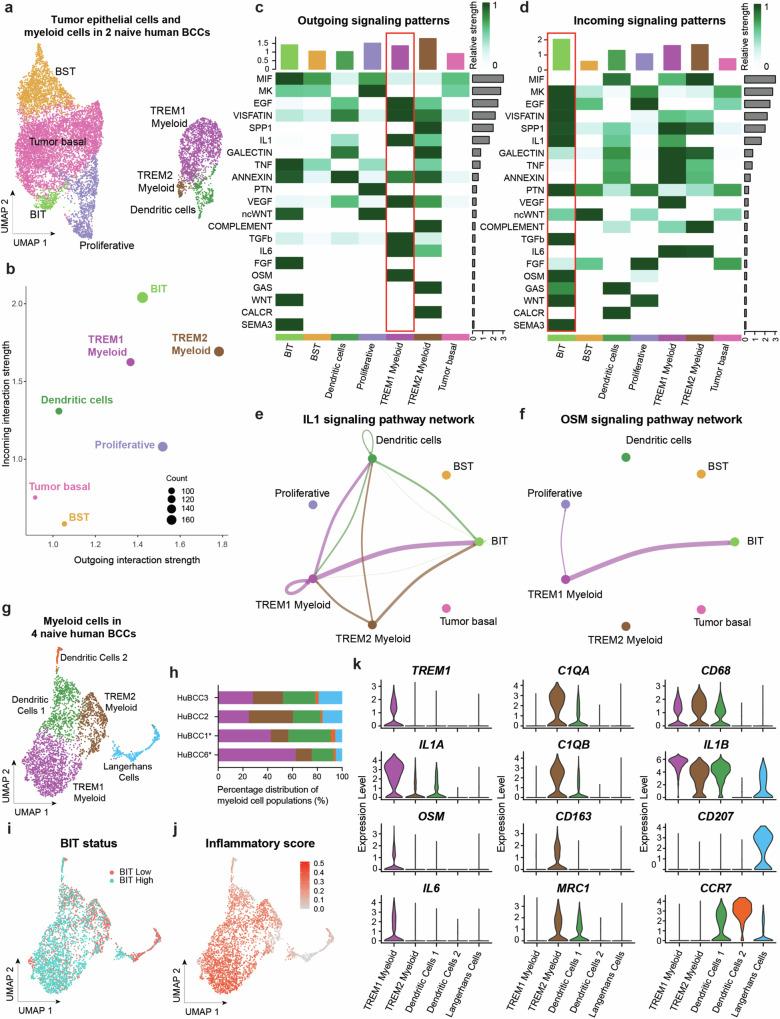 https://cdn.ncbi.nlm.nih.gov/pmc/blobs/4b6a/11408617/1c7471c2ad0d/41467_2024_52394_Fig4_HTML.jpg
