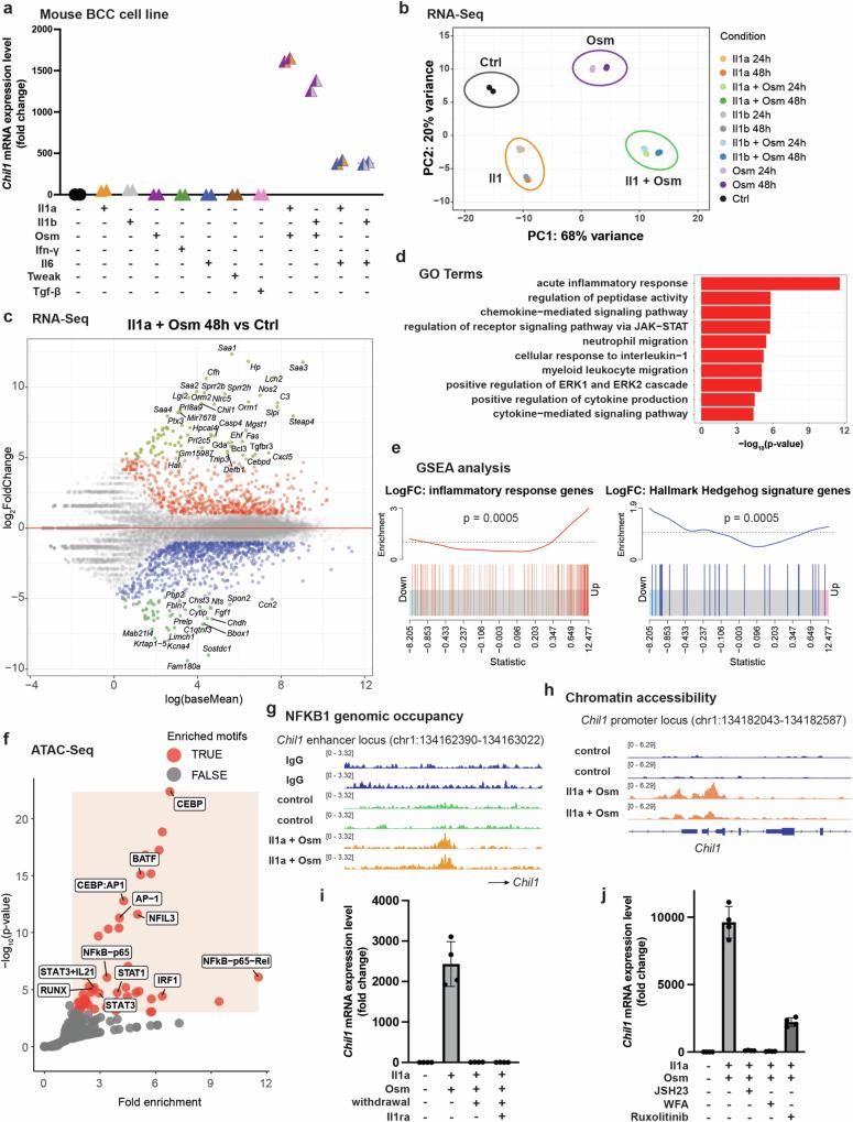 https://cdn.ncbi.nlm.nih.gov/pmc/blobs/4b6a/11408617/85a55eb128ec/41467_2024_52394_Fig6_HTML.jpg