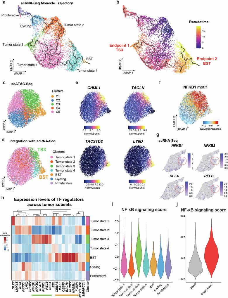 https://cdn.ncbi.nlm.nih.gov/pmc/blobs/4b6a/11408617/c892c1821697/41467_2024_52394_Fig2_HTML.jpg