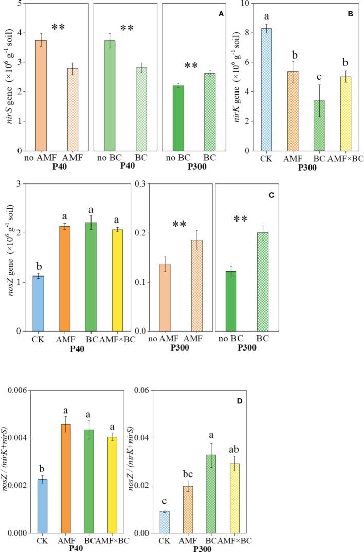 https://cdn.ncbi.nlm.nih.gov/pmc/blobs/4b6a/9795251/952bac15b91f/fpls-13-1069627-g004.jpg
