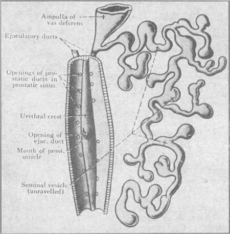https://cdn.ncbi.nlm.nih.gov/pmc/blobs/4b6b/1918877/71c2e55787ef/procrsmed00406-0044-a.jpg