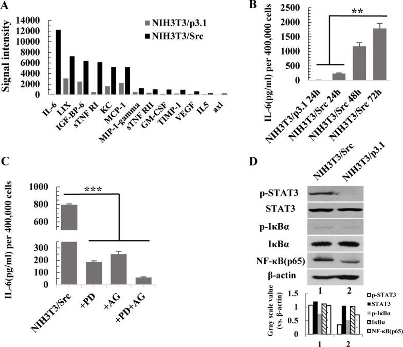 https://cdn.ncbi.nlm.nih.gov/pmc/blobs/4b71/5915127/1810f10b65ec/oncotarget-09-17443-g003.jpg