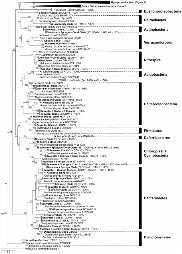 https://cdn.ncbi.nlm.nih.gov/pmc/blobs/4b72/3206846/2c908276d4e4/pone.0026806.g001.jpg