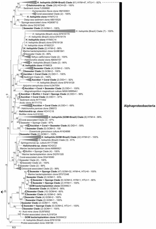 https://cdn.ncbi.nlm.nih.gov/pmc/blobs/4b72/3206846/a88c74059e0a/pone.0026806.g002.jpg
