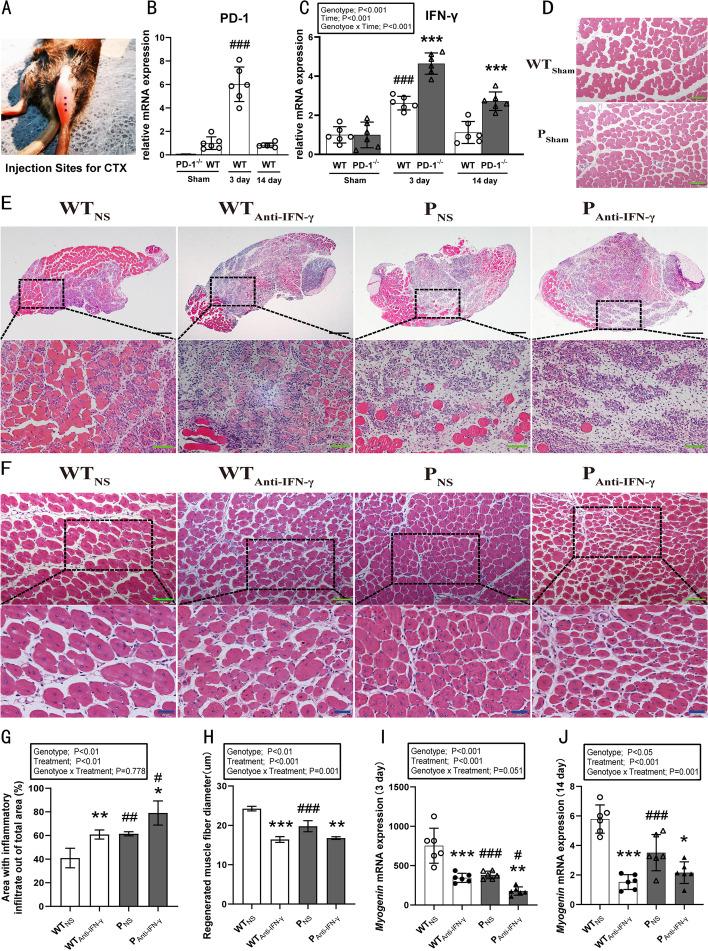 https://cdn.ncbi.nlm.nih.gov/pmc/blobs/4b73/10071770/2a4123f7c6e8/11658_2023_439_Fig1_HTML.jpg