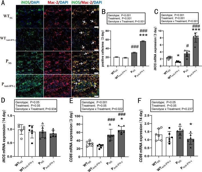 https://cdn.ncbi.nlm.nih.gov/pmc/blobs/4b73/10071770/9ea6a5353dc8/11658_2023_439_Fig4_HTML.jpg