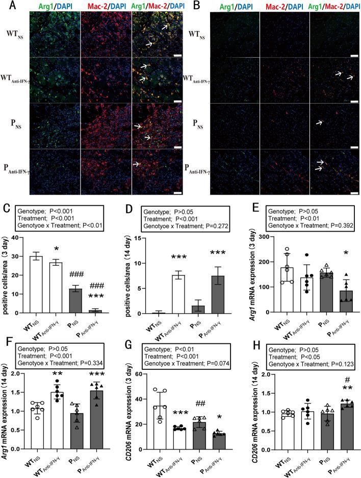 https://cdn.ncbi.nlm.nih.gov/pmc/blobs/4b73/10071770/dbff1e346985/11658_2023_439_Fig5_HTML.jpg