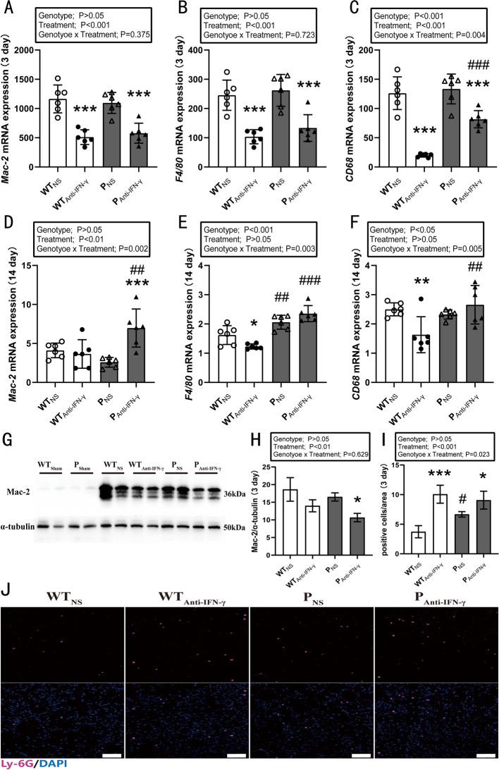 https://cdn.ncbi.nlm.nih.gov/pmc/blobs/4b73/10071770/e82a1c89fa88/11658_2023_439_Fig3_HTML.jpg