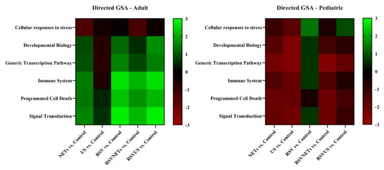 https://cdn.ncbi.nlm.nih.gov/pmc/blobs/4b73/8909397/c000a2597993/cells-11-00785-g006.jpg