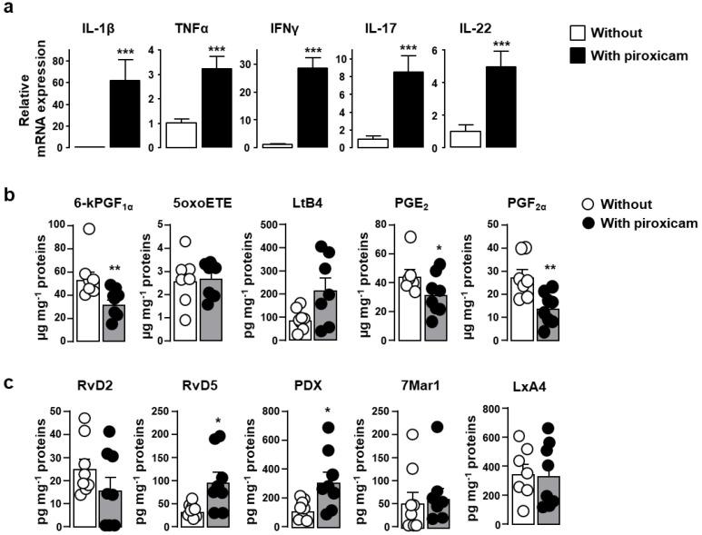 https://cdn.ncbi.nlm.nih.gov/pmc/blobs/4b74/8304158/959dfe7cff77/ijms-22-07387-g002.jpg
