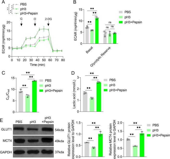 https://cdn.ncbi.nlm.nih.gov/pmc/blobs/4b74/9988773/f1c5eee1e7f5/405_2022_7729_Fig4_HTML.jpg