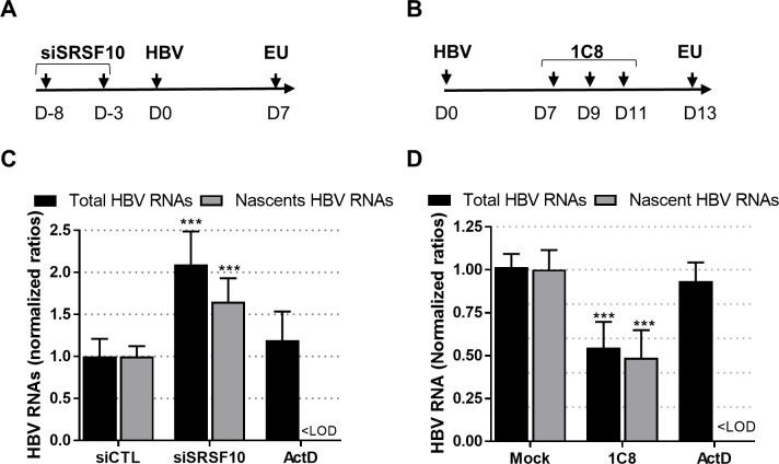 https://cdn.ncbi.nlm.nih.gov/pmc/blobs/4b78/7707522/2692dd90dfcf/ppat.1008593.g007.jpg