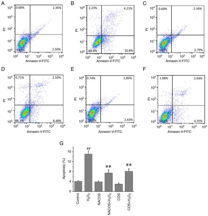 https://cdn.ncbi.nlm.nih.gov/pmc/blobs/4b79/11170321/3be0ddf371ce/etm-28-02-12600-g01.jpg