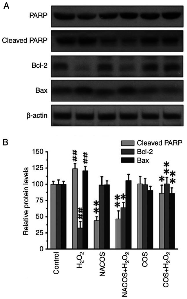 https://cdn.ncbi.nlm.nih.gov/pmc/blobs/4b79/11170321/7cfbf0f078af/etm-28-02-12600-g03.jpg