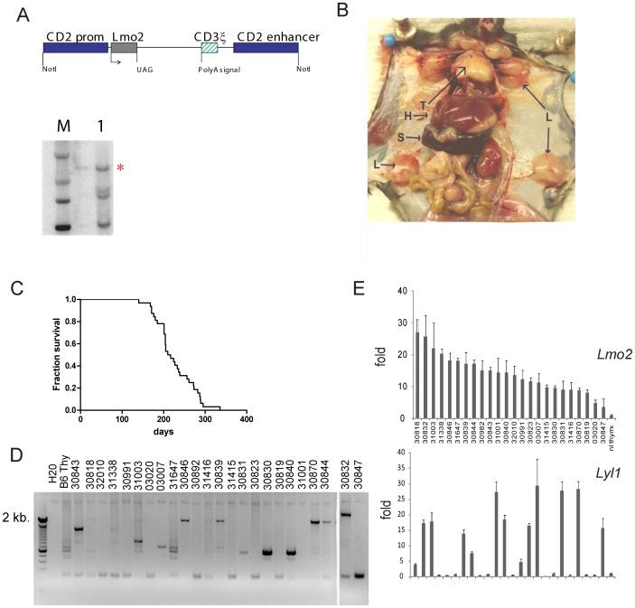 https://cdn.ncbi.nlm.nih.gov/pmc/blobs/4b79/3897537/45ca0b8f1e33/pone.0085883.g001.jpg