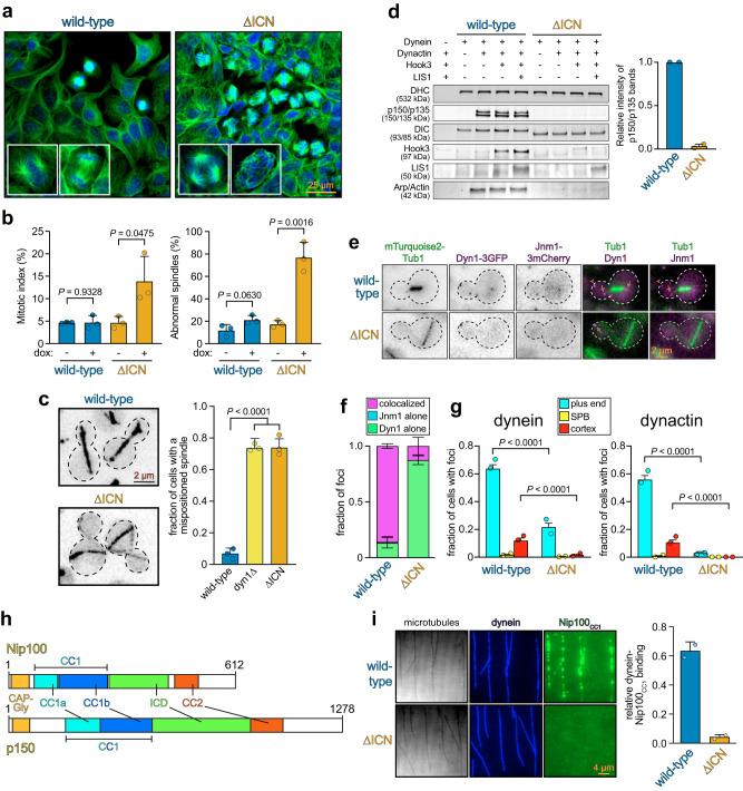 https://cdn.ncbi.nlm.nih.gov/pmc/blobs/4b7a/10511499/2b78cbaa5b59/41467_2023_41466_Fig2_HTML.jpg