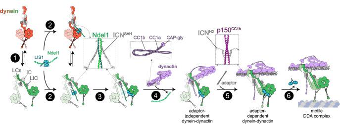https://cdn.ncbi.nlm.nih.gov/pmc/blobs/4b7a/10511499/d7543152a59a/41467_2023_41466_Fig6_HTML.jpg