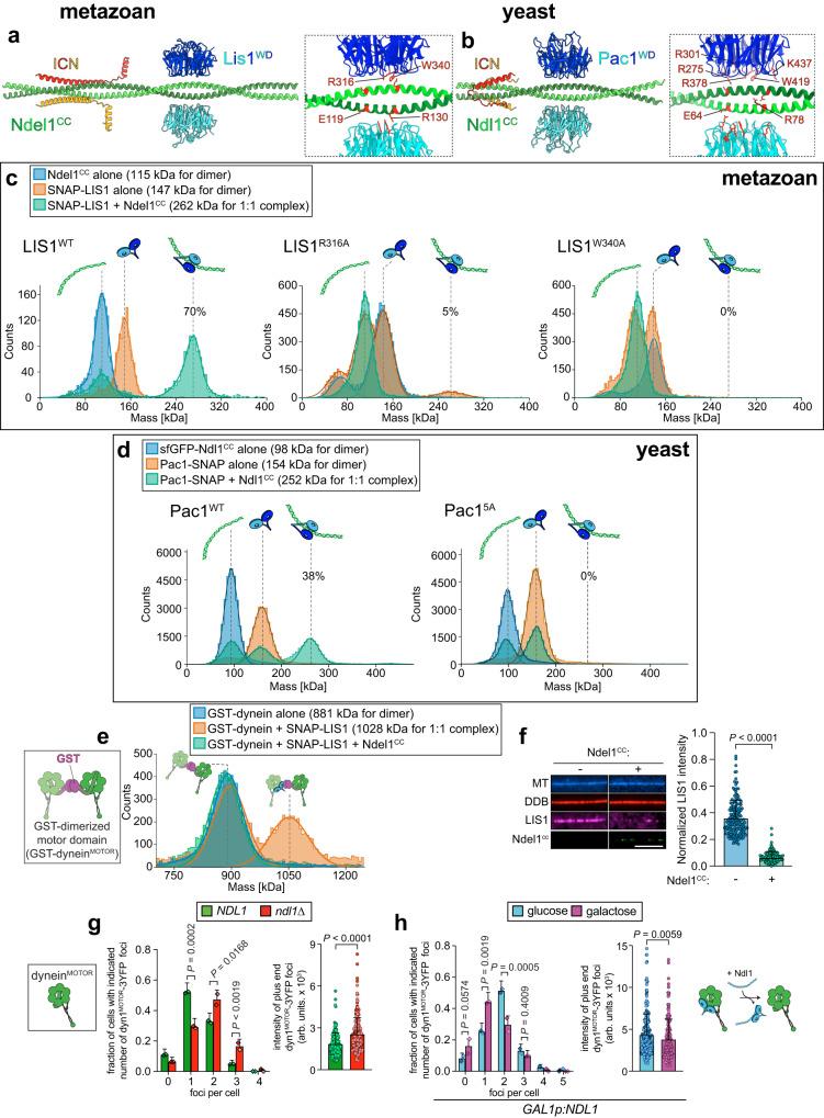 https://cdn.ncbi.nlm.nih.gov/pmc/blobs/4b7a/10511499/f65eef279a80/41467_2023_41466_Fig4_HTML.jpg