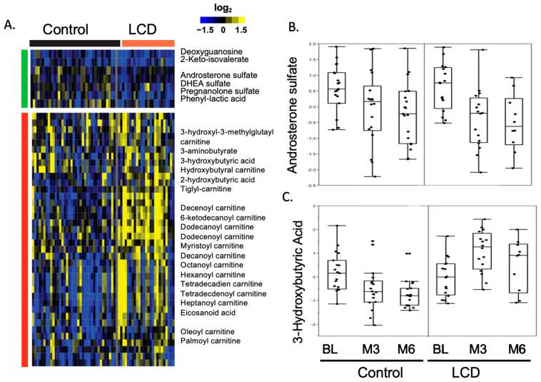 https://cdn.ncbi.nlm.nih.gov/pmc/blobs/4b7a/11171316/f22aef363851/cancers-16-01991-g001.jpg