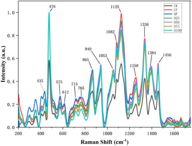 https://cdn.ncbi.nlm.nih.gov/pmc/blobs/4b7a/11920442/c63212ca2921/41598_2025_89102_Fig3_HTML.jpg