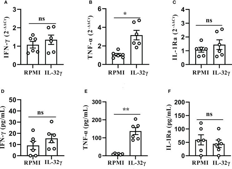 https://cdn.ncbi.nlm.nih.gov/pmc/blobs/4b7b/11128554/2759dd7c0668/fimmu-15-1342641-g007.jpg