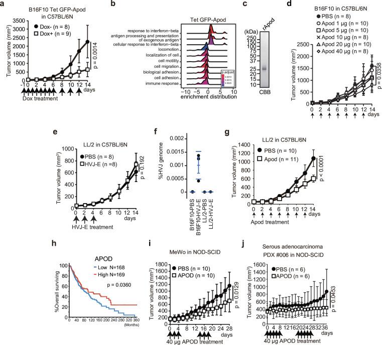 https://cdn.ncbi.nlm.nih.gov/pmc/blobs/4b7c/12182123/2a97973990e4/jitc-13-6-g003.jpg