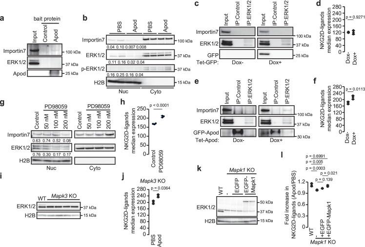 https://cdn.ncbi.nlm.nih.gov/pmc/blobs/4b7c/12182123/6949344f960b/jitc-13-6-g005.jpg