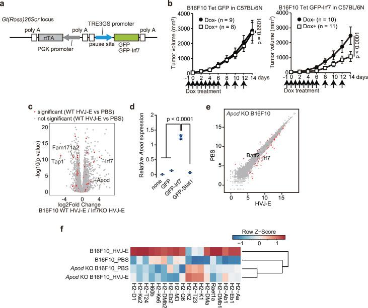 https://cdn.ncbi.nlm.nih.gov/pmc/blobs/4b7c/12182123/8dce0a5d0447/jitc-13-6-g002.jpg