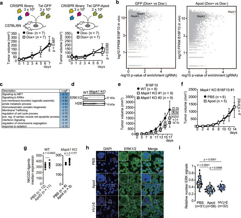 https://cdn.ncbi.nlm.nih.gov/pmc/blobs/4b7c/12182123/8fdb65c4d553/jitc-13-6-g004.jpg