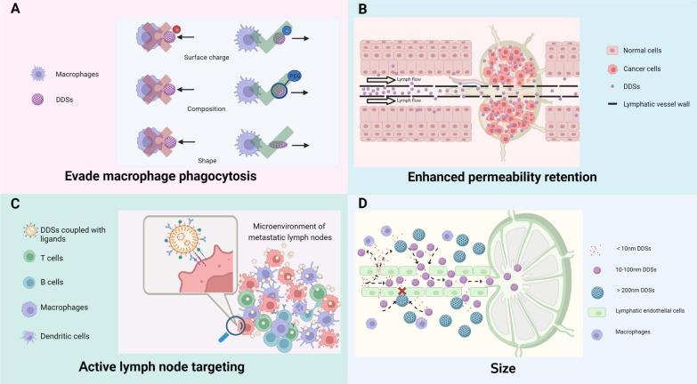 https://cdn.ncbi.nlm.nih.gov/pmc/blobs/4b7d/10979629/45bb2b50996a/12951_2024_2408_Fig3_HTML.jpg