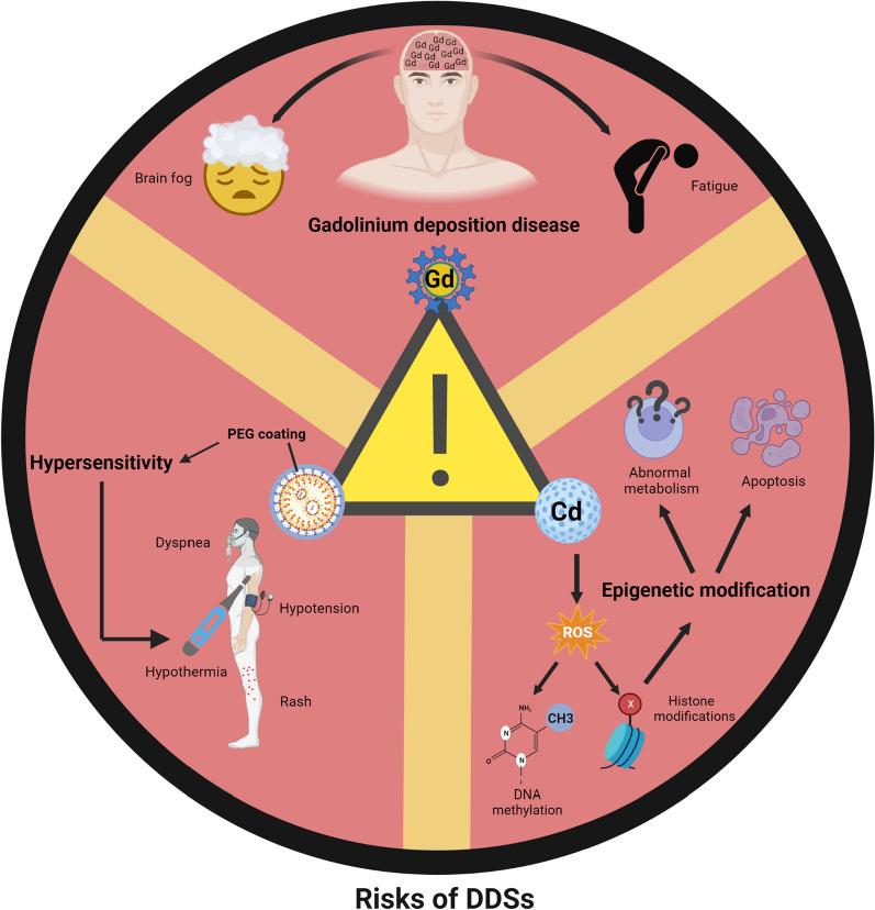 https://cdn.ncbi.nlm.nih.gov/pmc/blobs/4b7d/10979629/95158693d9cf/12951_2024_2408_Fig5_HTML.jpg