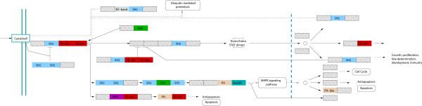 https://cdn.ncbi.nlm.nih.gov/pmc/blobs/4b7d/2657131/9a67ef48c0fb/1471-2105-10-39-6.jpg