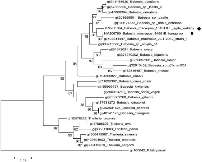 https://cdn.ncbi.nlm.nih.gov/pmc/blobs/4b7d/4475855/43841f042e69/ijppaw99-fig-0004.jpg