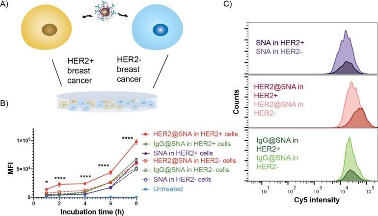 https://cdn.ncbi.nlm.nih.gov/pmc/blobs/4b7e/6936096/8362d7737b93/oc9b01105_0003.jpg