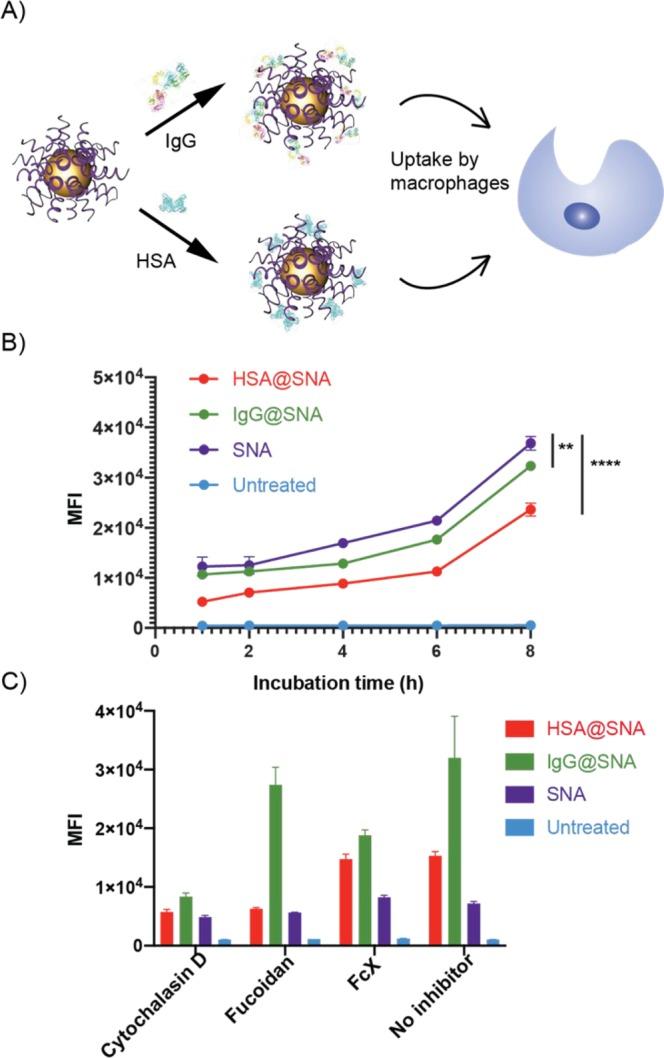 https://cdn.ncbi.nlm.nih.gov/pmc/blobs/4b7e/6936096/9be6c8ccdea1/oc9b01105_0004.jpg