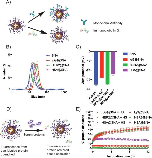 https://cdn.ncbi.nlm.nih.gov/pmc/blobs/4b7e/6936096/e0e80cb3bf4c/oc9b01105_0001.jpg