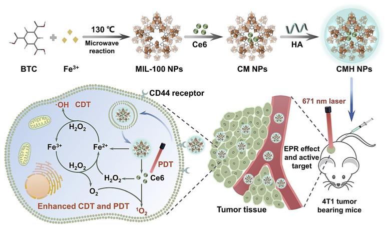 https://cdn.ncbi.nlm.nih.gov/pmc/blobs/4b7e/8301984/60c0aae686c4/biomolecules-11-01015-g005.jpg