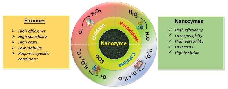 https://cdn.ncbi.nlm.nih.gov/pmc/blobs/4b7e/8301984/79b66fa64596/biomolecules-11-01015-g001.jpg