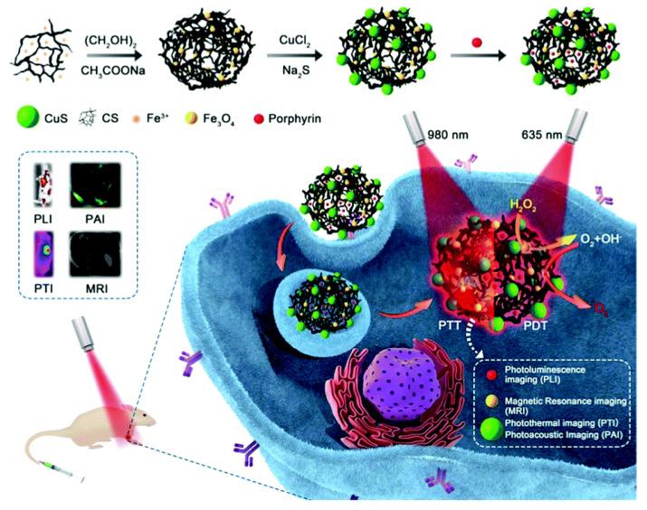 https://cdn.ncbi.nlm.nih.gov/pmc/blobs/4b7e/8301984/d1e233bf1d09/biomolecules-11-01015-g004.jpg