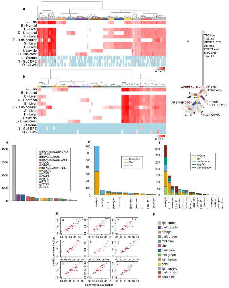 https://cdn.ncbi.nlm.nih.gov/pmc/blobs/4b7f/4413032/dee4396a4a1e/emss-62345-f0011.jpg
